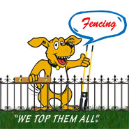 fencing