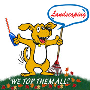 landscapingfp